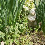 子育て情報,食物アレルギー,ママの悩み,