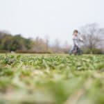 ママの悩み　母乳　ミルク　離乳食　食物アレルギー　アトピー