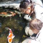 証拠隠滅、嘘、失敗、子ども、いたずら