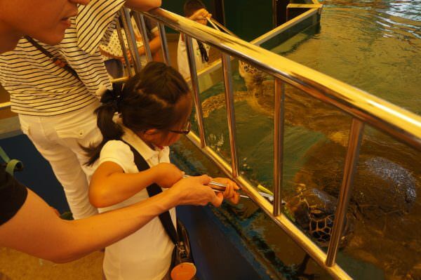 子育て、パパの役割、ママの役割、家族