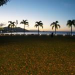 子育て、パパの役割、ママの役割、家族