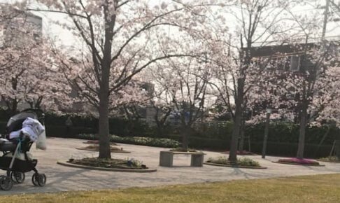 庄内さくら広場