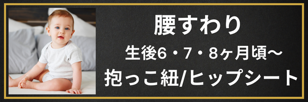 腰すわり生後6・7・8ヶ月頃～抱っこ紐/ヒップシート