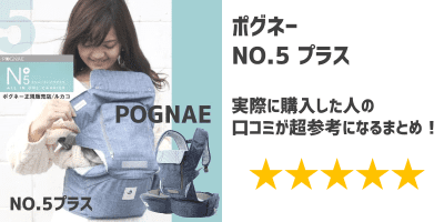 Pognae no 2024 5 review