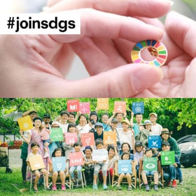 joinsdgs 正規品SDGsピンバッジ